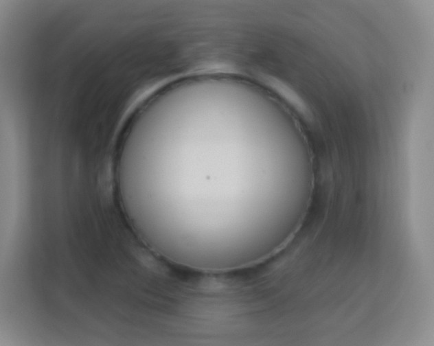 X0000113941364200910091614