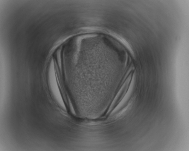 X0000113941365200910091614