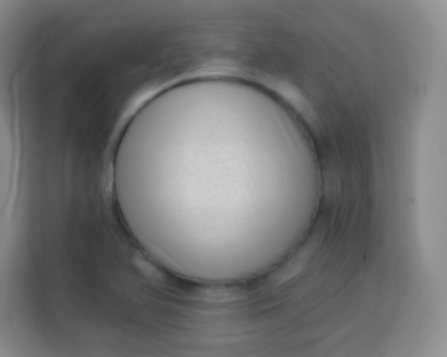 X0000113941366200910091614