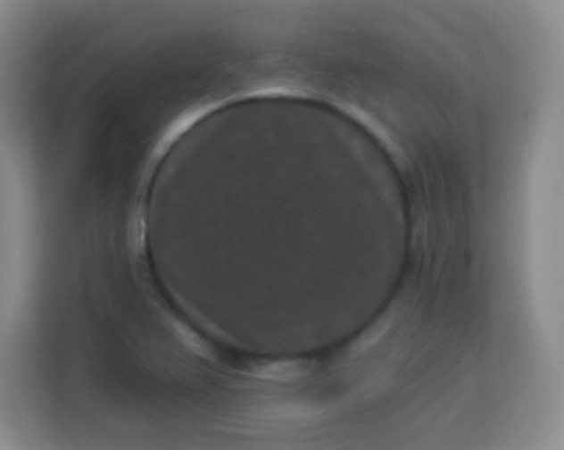 X0000113941367200910091614