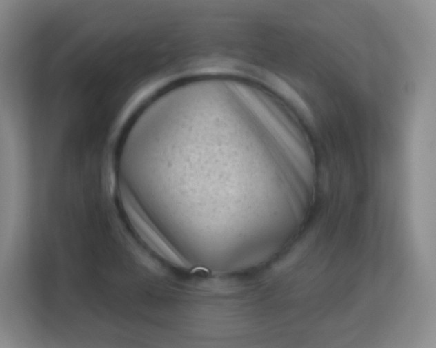 X0000113941368200910091614