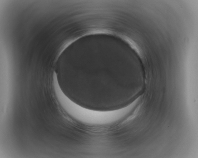 X0000113941369200910091614