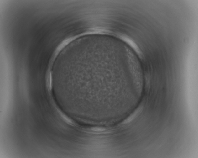 X0000113941371200910091614