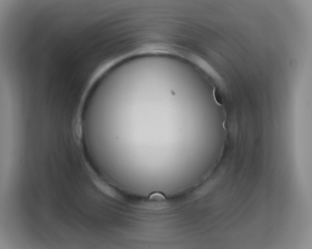 X0000113941372200910091614