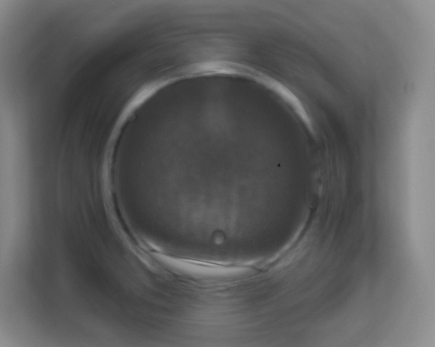 X0000113941373200910091614