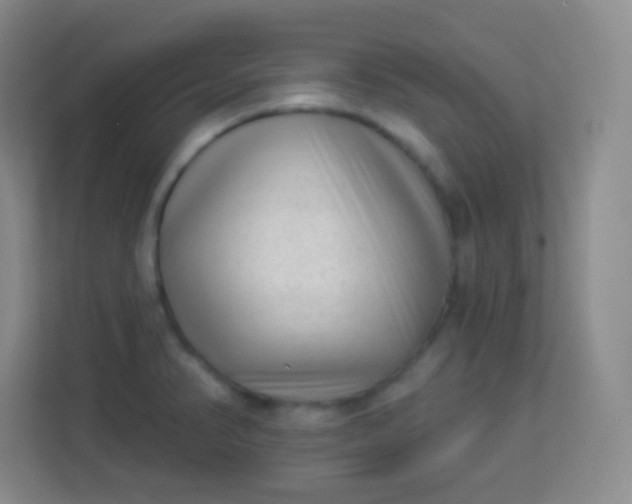 X0000113941374200910091614