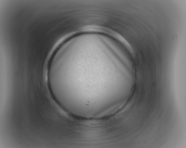 X0000113941376200910091614