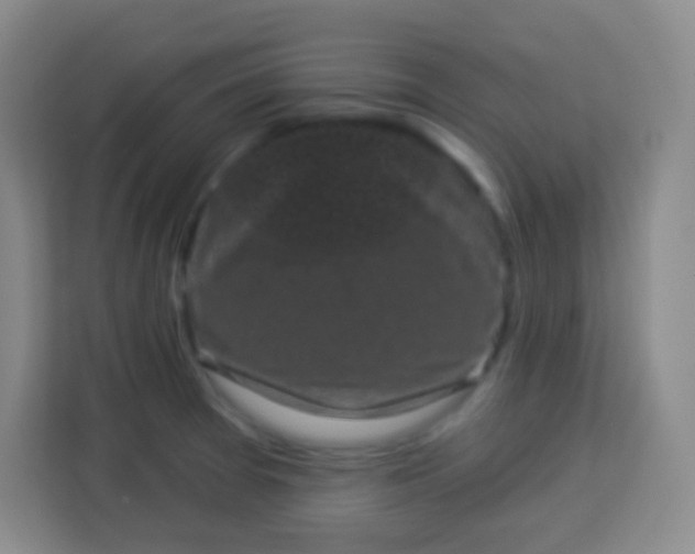 X0000113941377200910091614