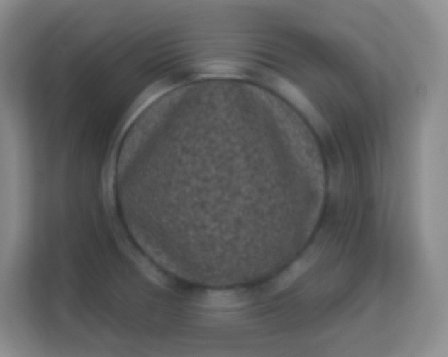 X0000113941378200910091614