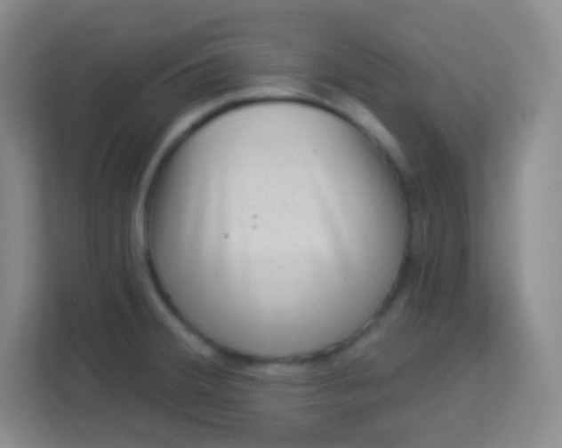 X0000113941380200910091614