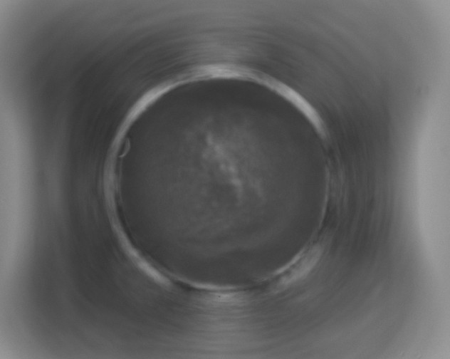 X0000113941381200910091614