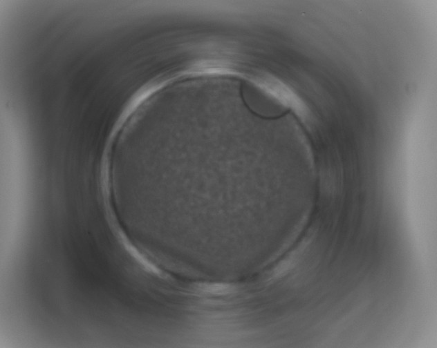 X0000113941382200910091614