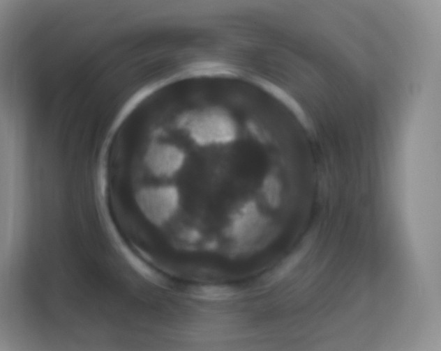 X0000113941383200910091614