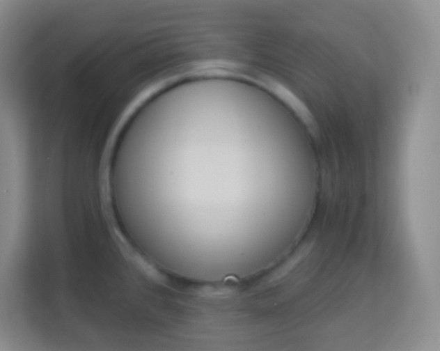 X0000113941384200910091614