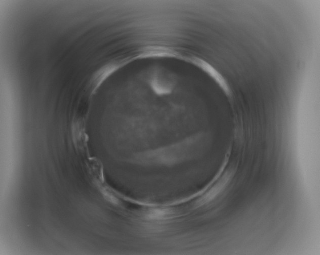 X0000113941385200910091614