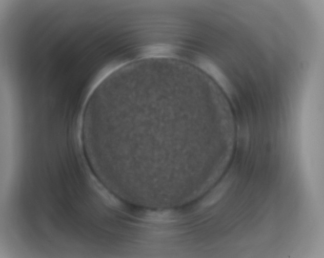 X0000113941386200910091614