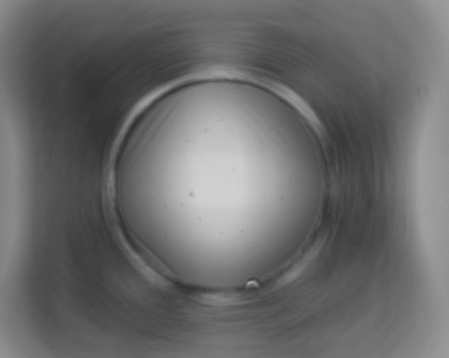 X0000113941388200910091614