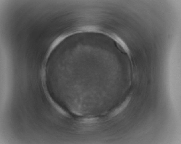 X0000113941389200910091614