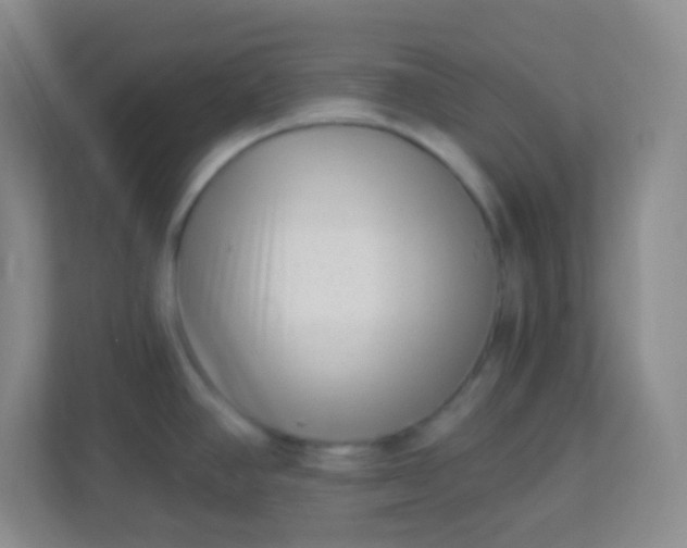 X0000113941390200910091614