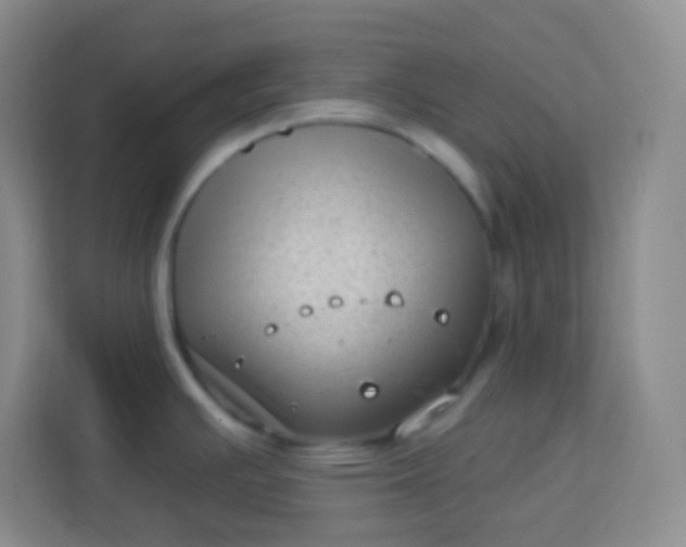 X0000113941391200910091614