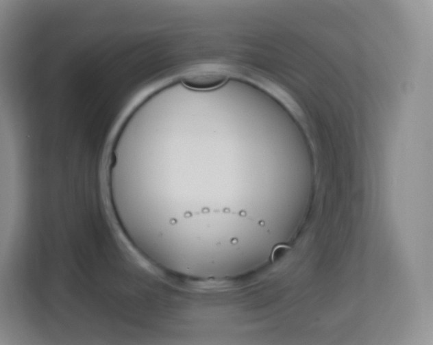 X0000113941392200910091614