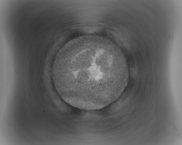 X0000113941393200910091613