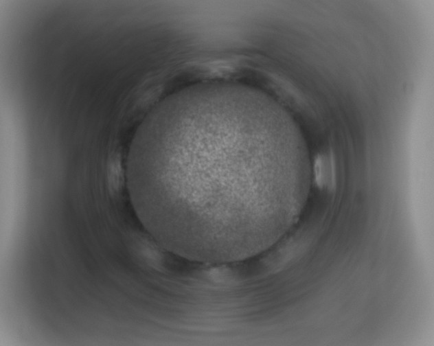 X0000113941395200910091613