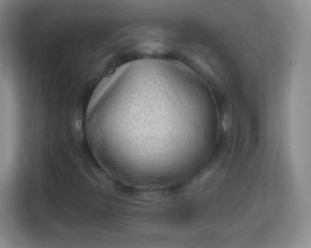 X0000113941396200910091613