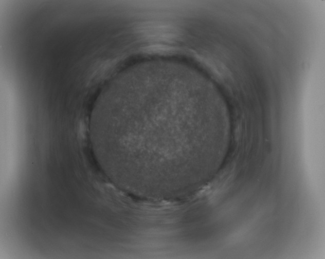 X0000113941397200910091613