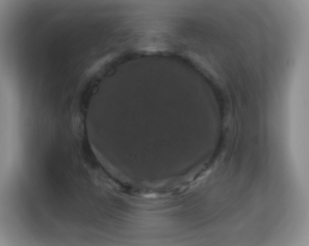 X0000113941398200910091613