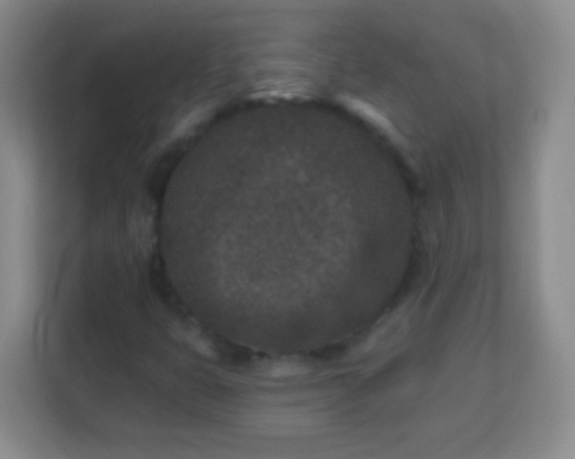 X0000113941399200910091613