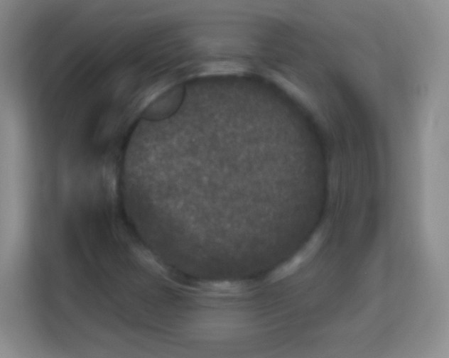 X0000113941401200910091613