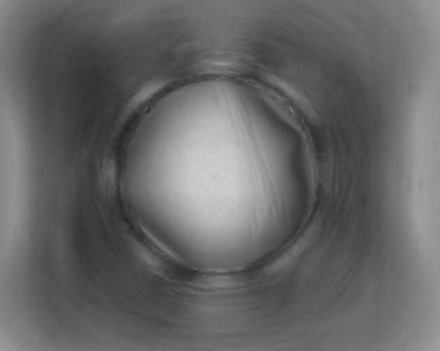 X0000113941402200910091613