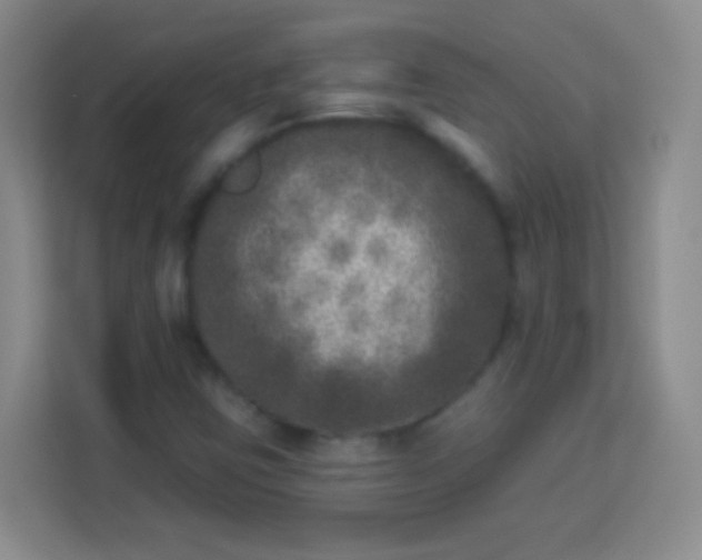 X0000113941403200910091613