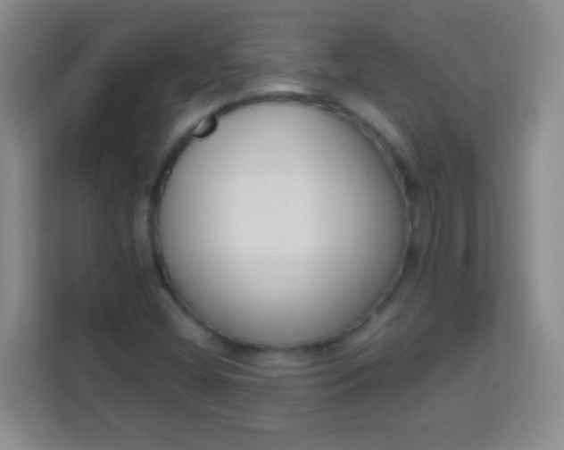 X0000113941404200910091613