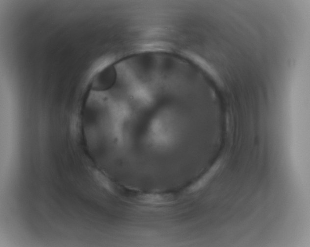 X0000113941405200910091613