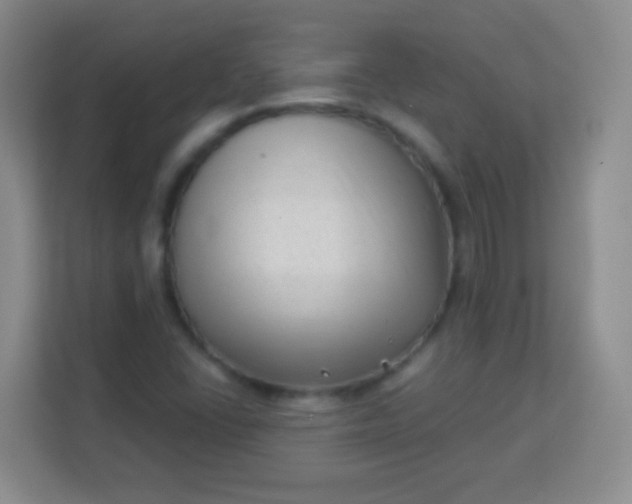 X0000113941406200910091613