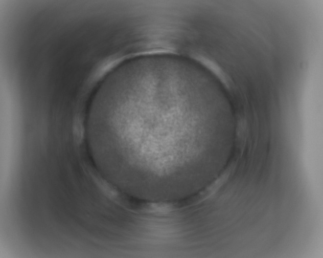 X0000113941407200910091613