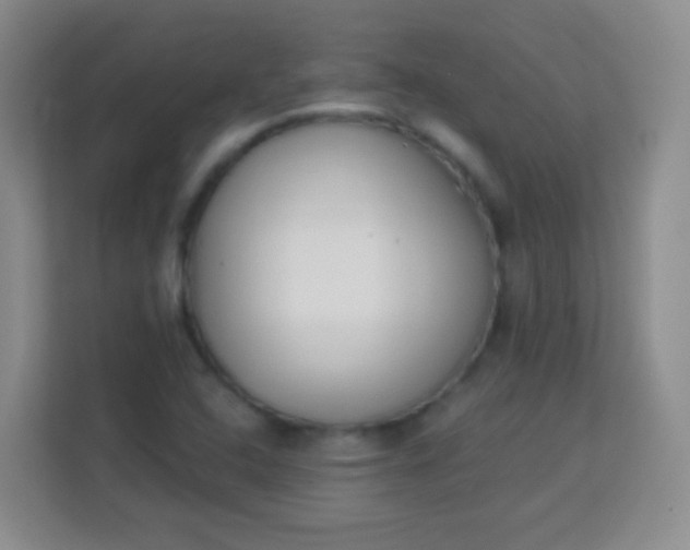 X0000113941408200910091613