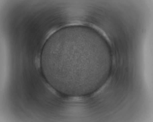 X0000113941409200910091613