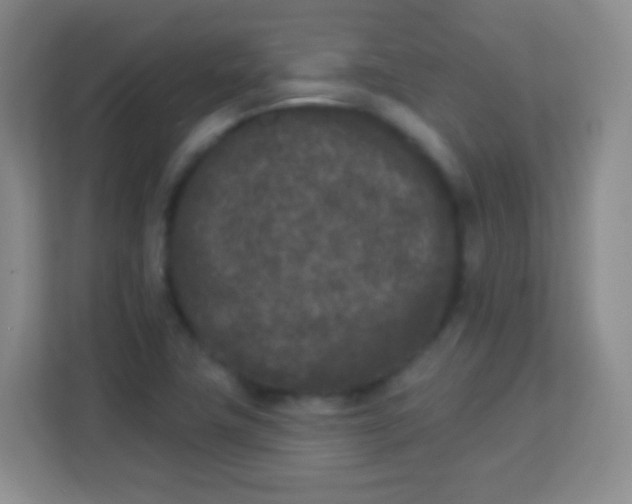 X0000113941411200910091613