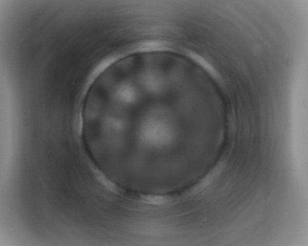 X0000113941413200910091613