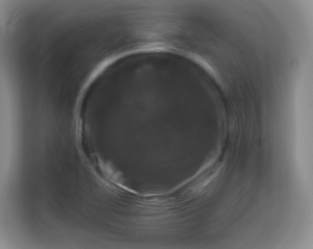 X0000113941414200910091613