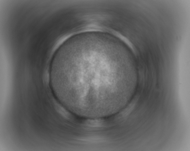 X0000113941415200910091613