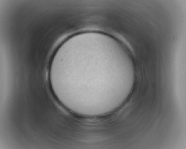 X0000113941416200910091613