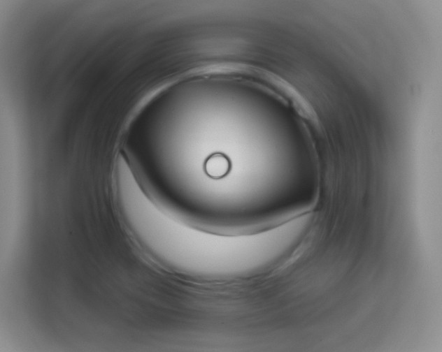 X0000113941417200910091613