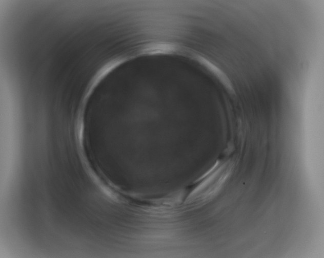 X0000113941418200910091613