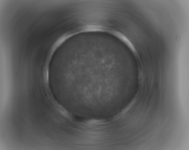 X0000113941419200910091613