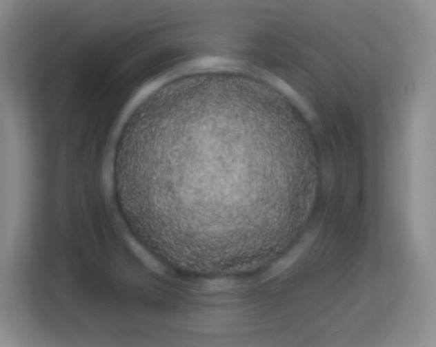 X0000113941421200910091614