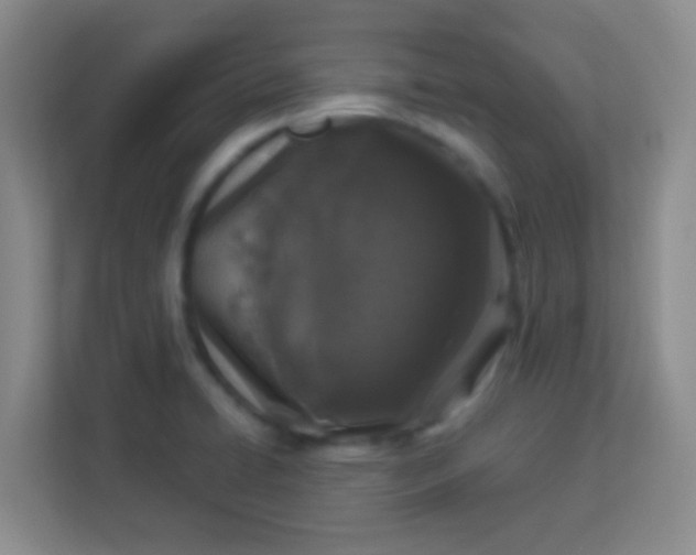 X0000113941422200910091614